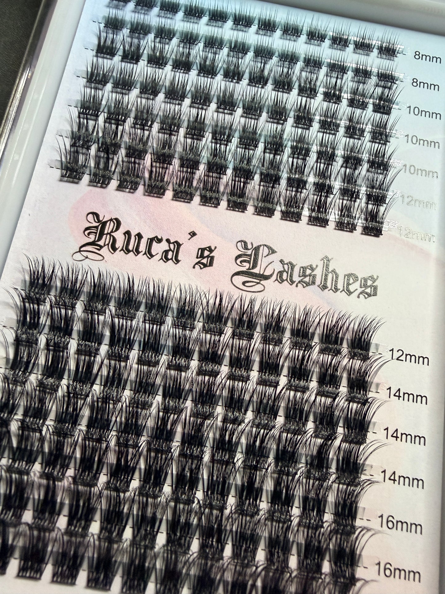 ✨ Bella ✨ Cluster Lashes ✨