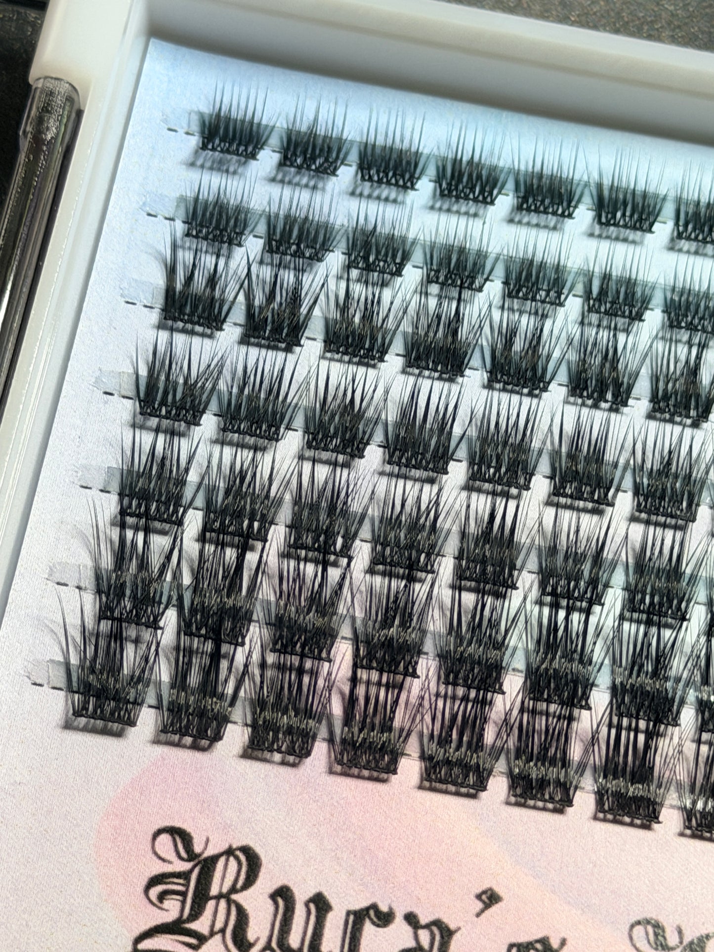 ✨ Bella ✨ Cluster Lashes ✨