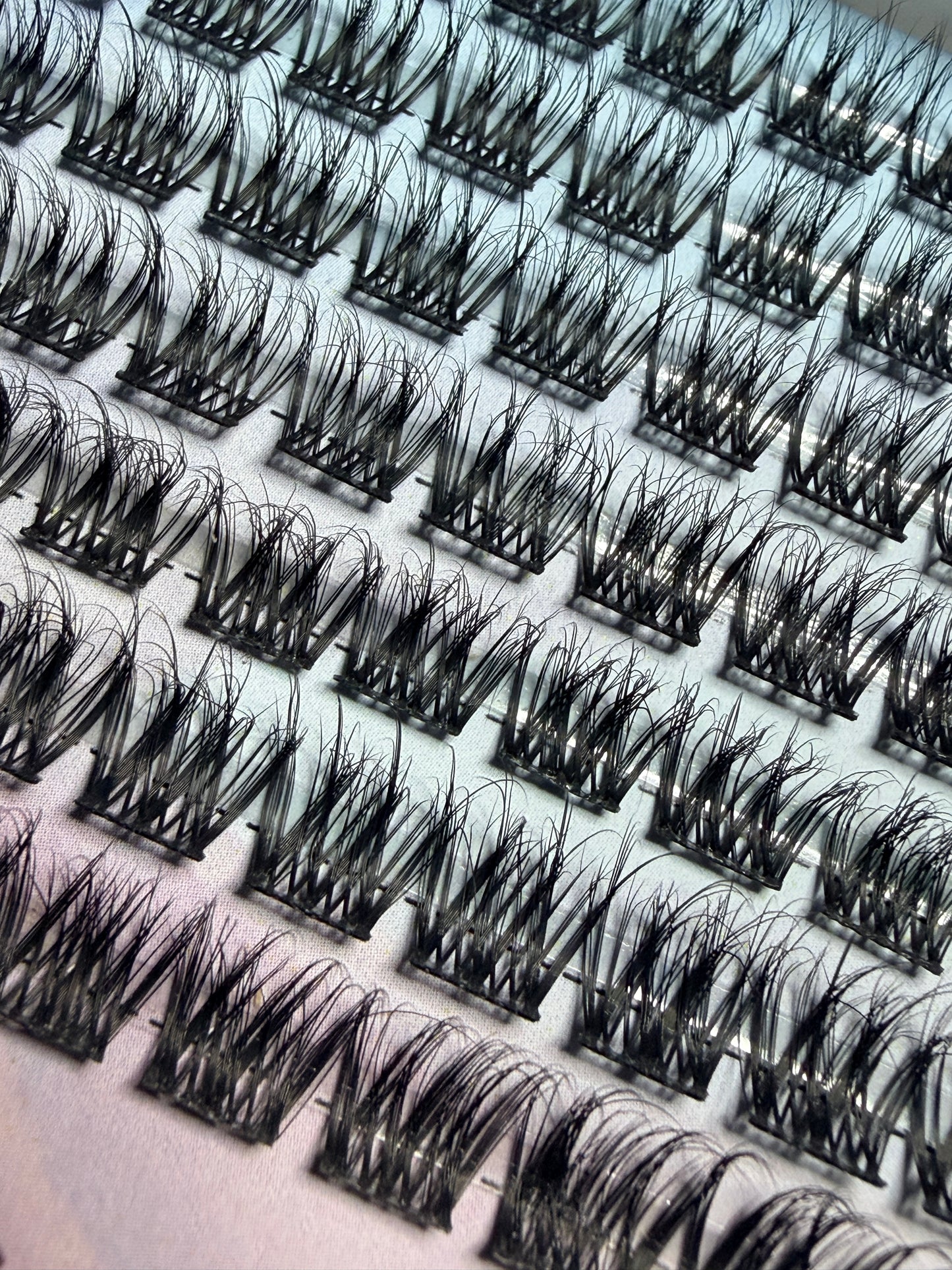 ✨ Peanut ✨ Cluster Lashes ✨