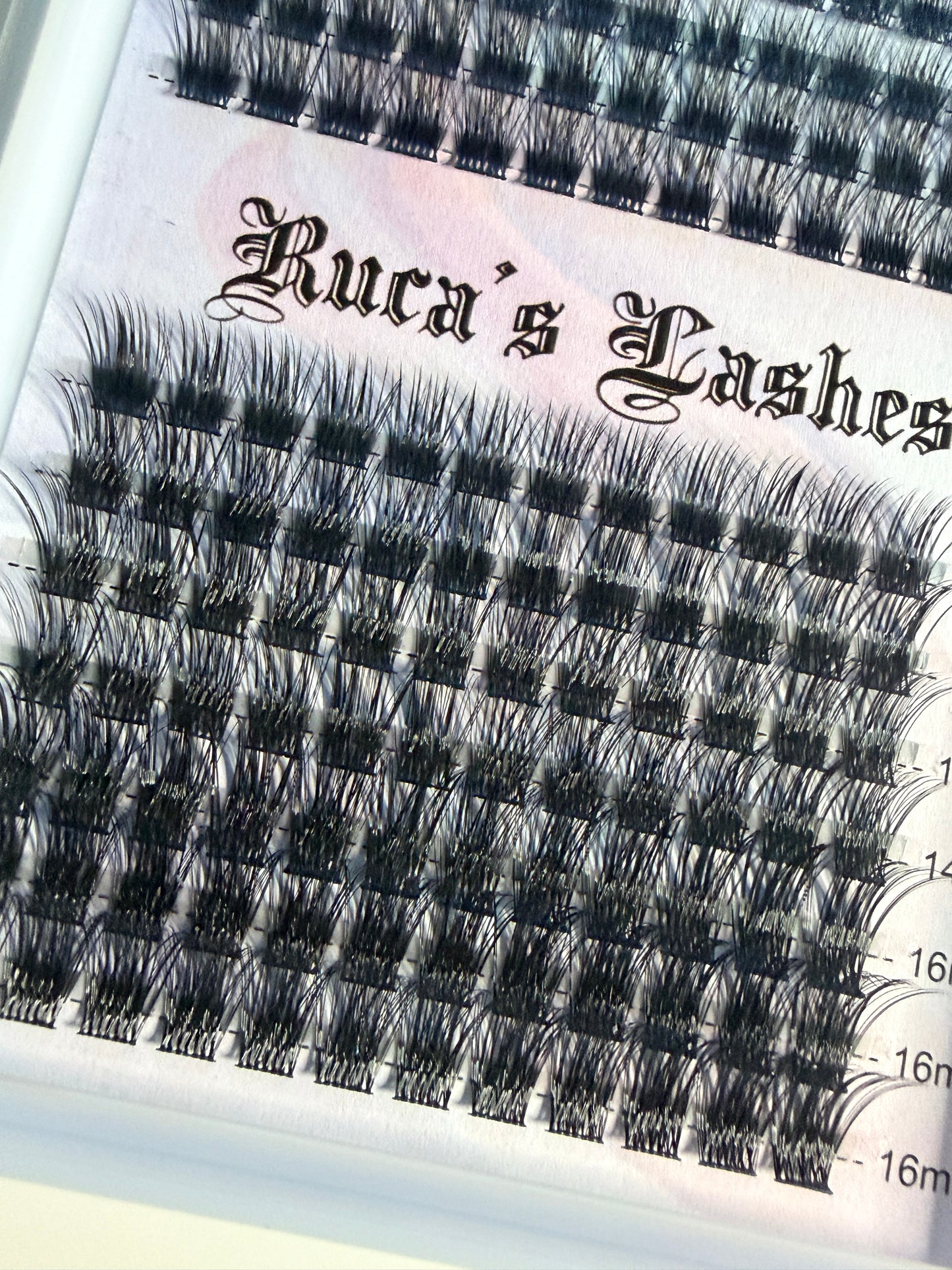 ✨ Bella ✨ Cluster Lashes ✨